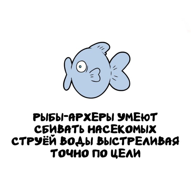 ���������� ����� �� ��� ������ �����