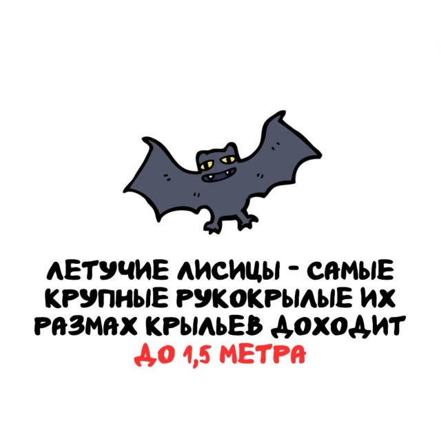 ���������� ����� �� ��� ������ �����
