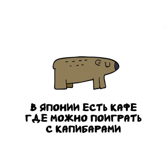 ���������� ����� �� ��� ������ �����