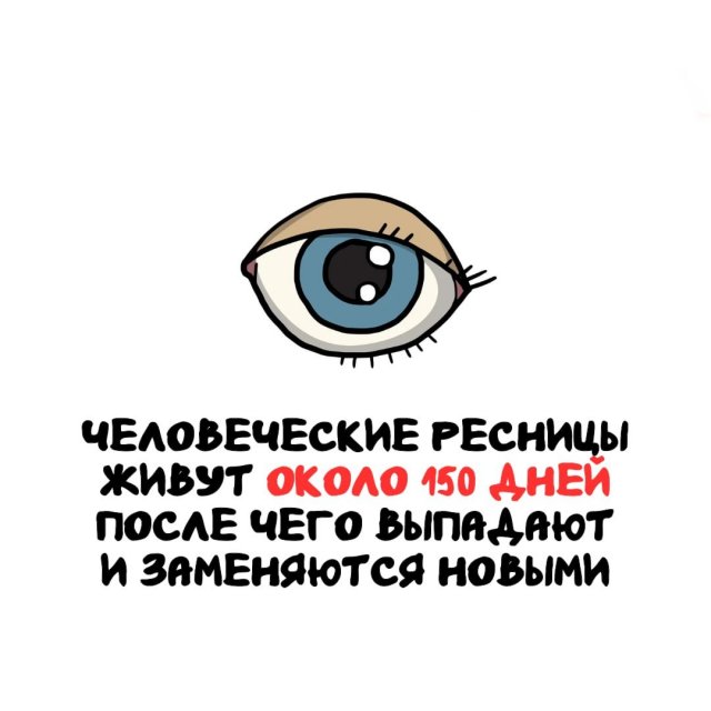 ���������� ����� �� ��� ������ �����
