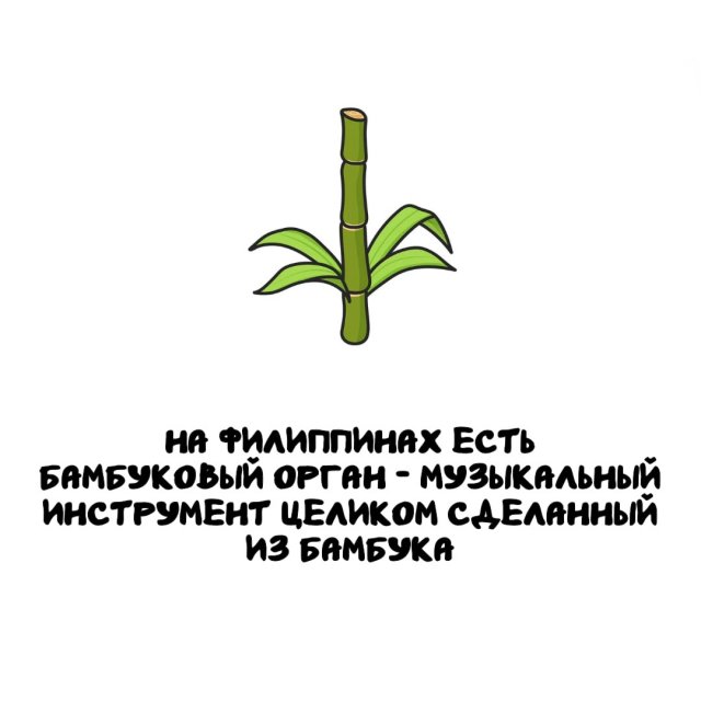 ���������� ����� �� ��� ������ �����