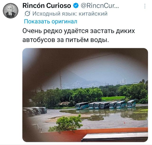 �������� �������� ������ ��� ����