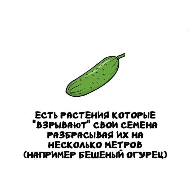 ���������� ����� �� ��� ������ �����