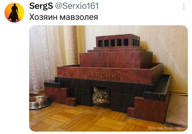 �������� �������� ������ ��� ����