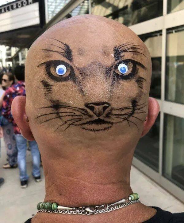 �������� ��������