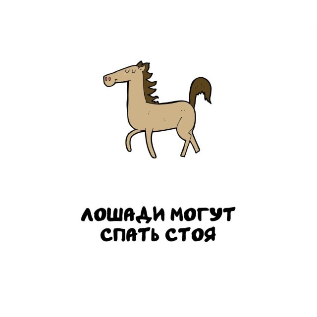 ���������� ����� �� ��� ������ ����� 