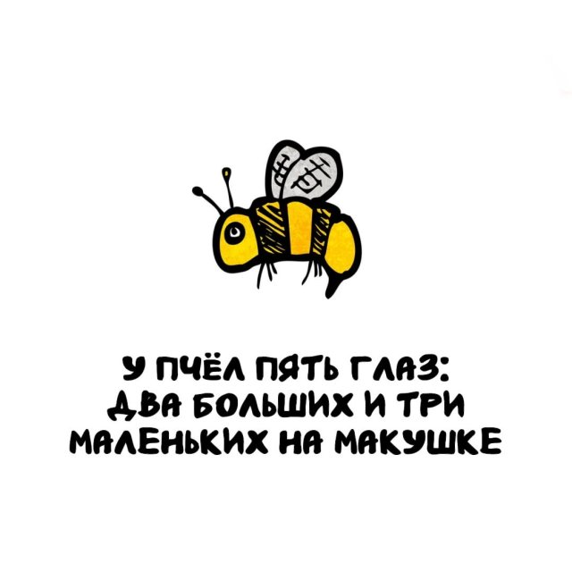 ���������� ����� �� ��� ������ ����� 