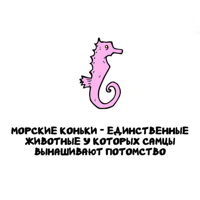 ���������� ����� �� ��� ������ ����� 