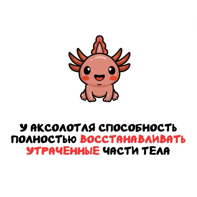���������� ����� �� ��� ������ ����� 