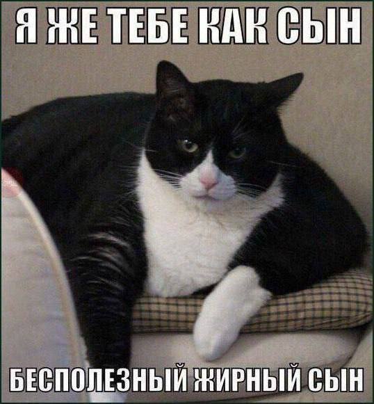 ������� ��������