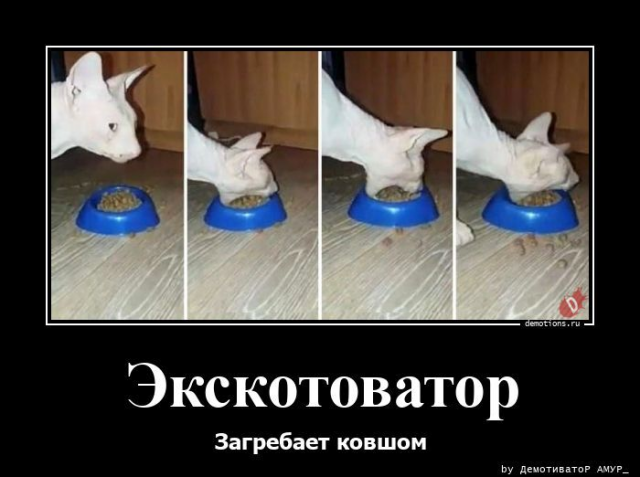 �������� ������������� ��� �������� ����������
