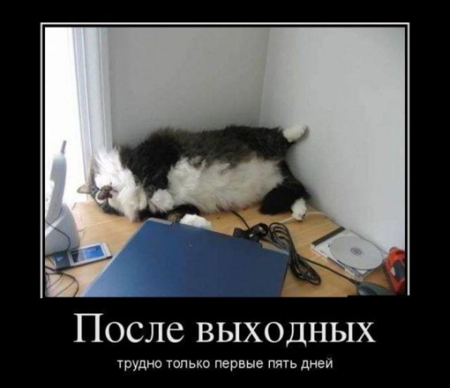 �������� ������������� ��� �������� ����������