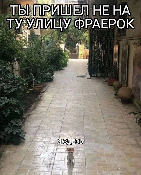 ������ ����� � ���� �� ����