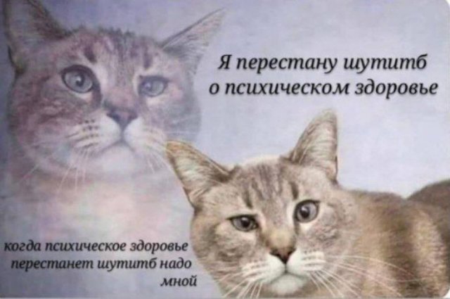 ������ ����� � ���� �� ����