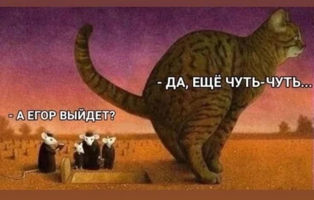 ������ ����� � ���� �� ����