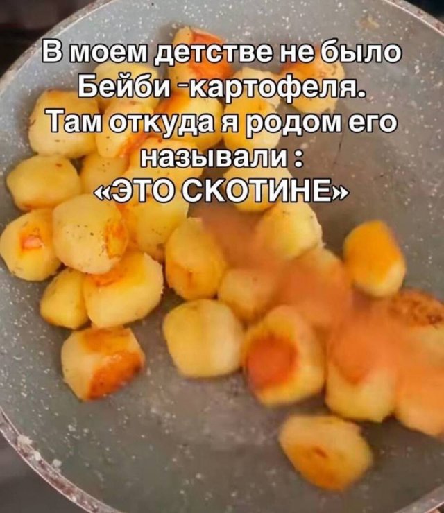 ������ ����� � ���� �� ����