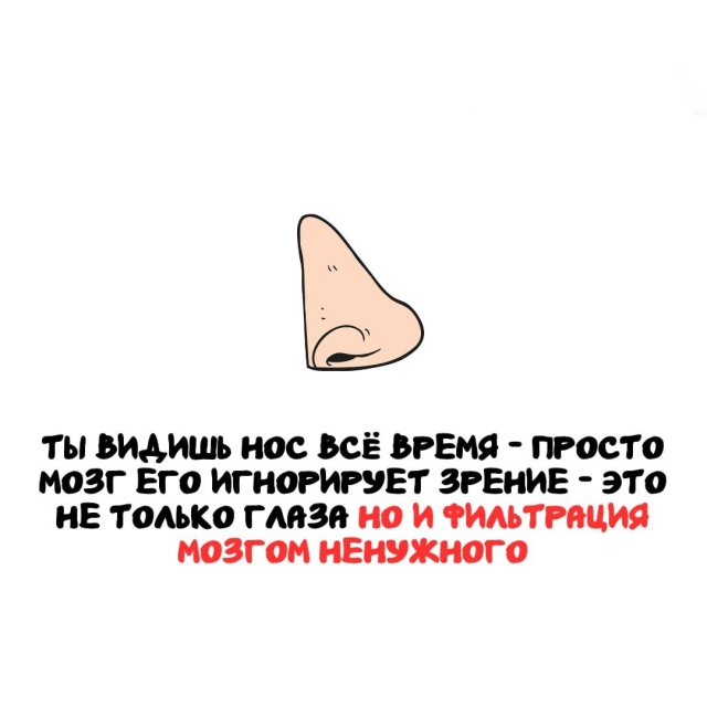 ���������� ����� �� ��� ������ ����� 