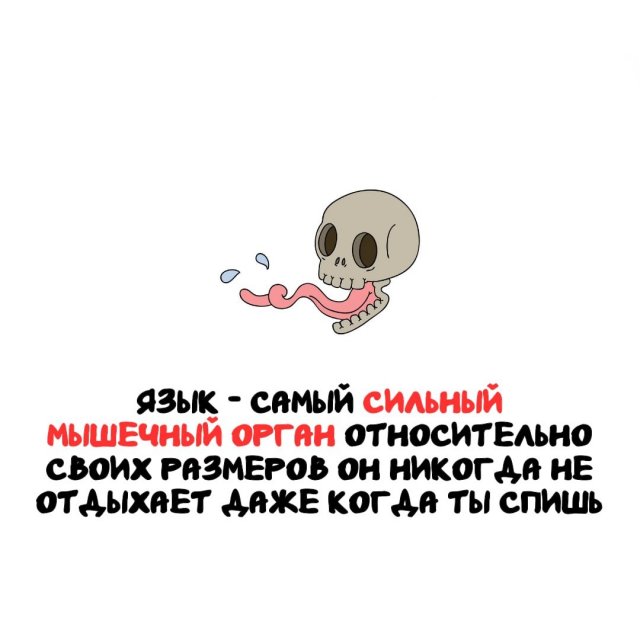 ���������� ����� �� ��� ������ ����� 