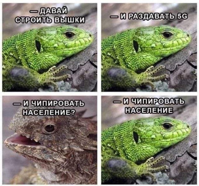 ������ ����� � ���� �� ����
