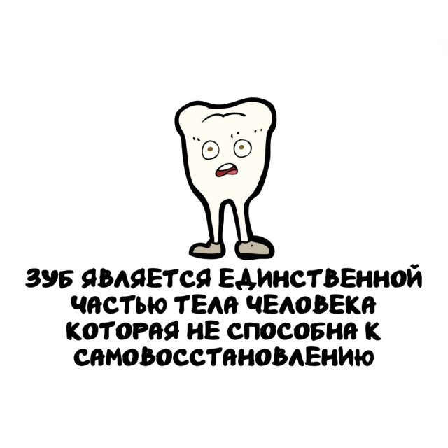 ���������� ����� �� ��� ������ �����