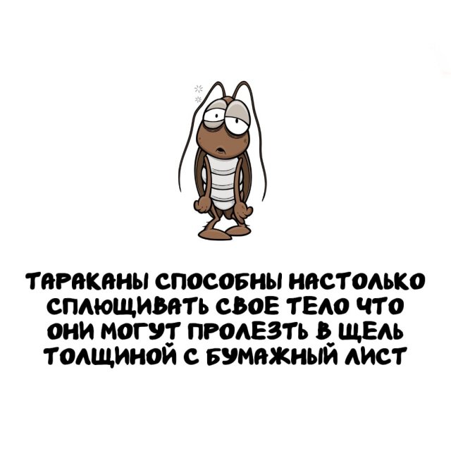 ���������� ����� �� ��� ������ �����