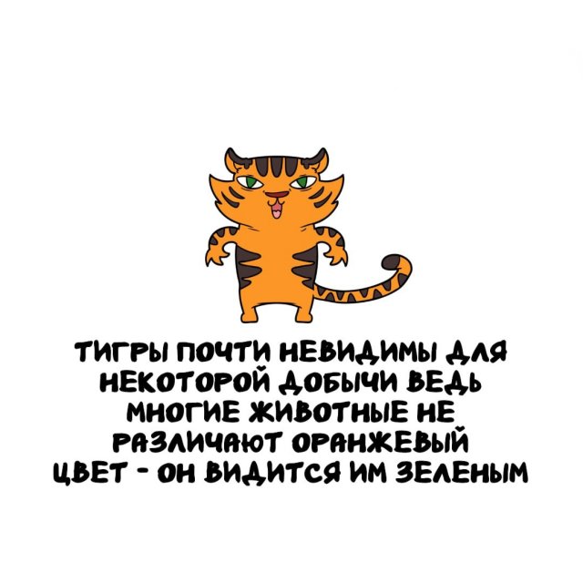 ���������� ����� �� ��� ������ �����