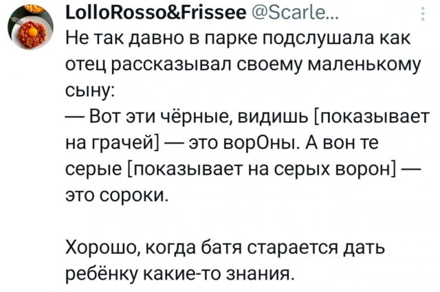 �������� �������� ������ ��� ���� 