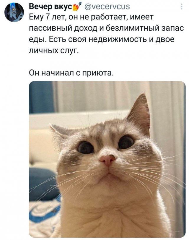 �������� �������� ������ ��� ���� 