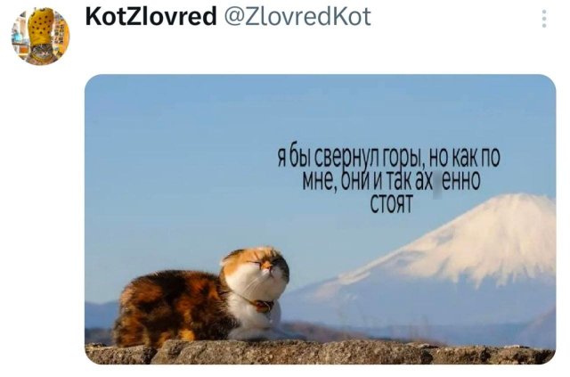 �������� �������� ������ ��� ����