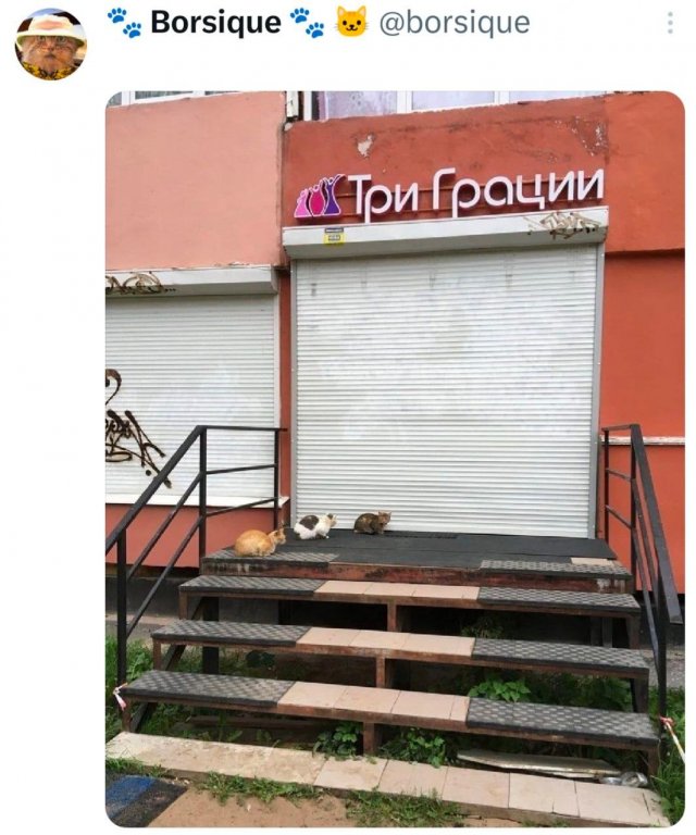 �������� �������� ������ ��� ����