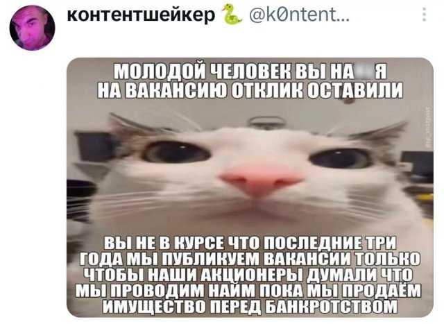 �������� �������� ������ ��� ����