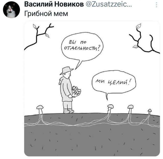 �������� �������� ������ ��� ����