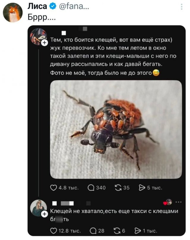 �������� �������� ������ ��� ����