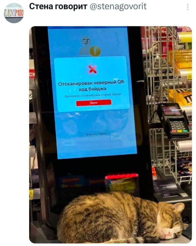 �������� �������� ������ ��� ����
