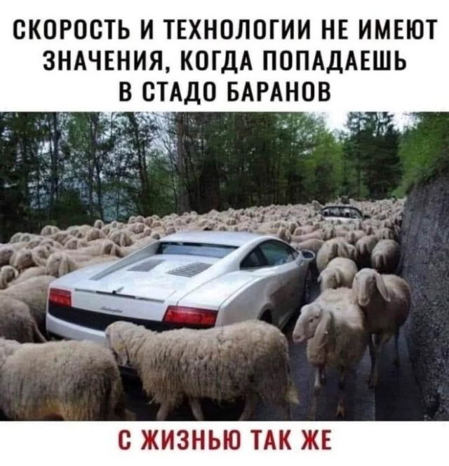 ������� ����� � ��������� ��������