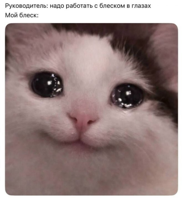 ������� ����� � ��������� ��������