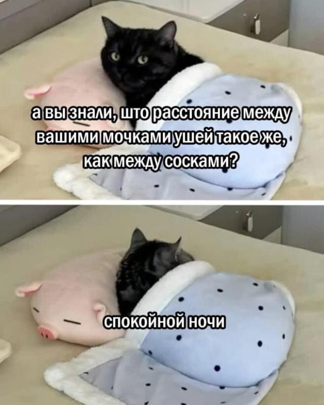 ������� ����� � ��������� ��������
