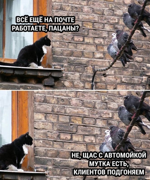 ������� ����� � ��������� ��������