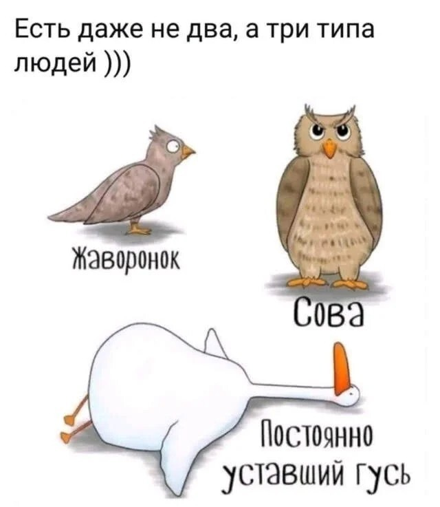������� ����� � ��������� ��������