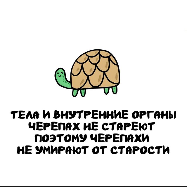 ���������� ����� �� ��� ������ �����