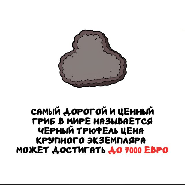 ���������� ����� �� ��� ������ �����