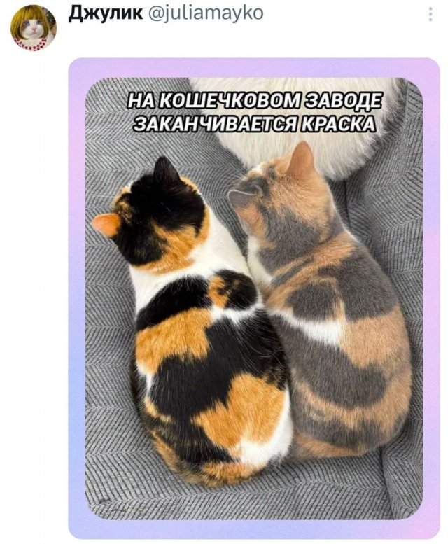 �������� �������� ������ ��� ����