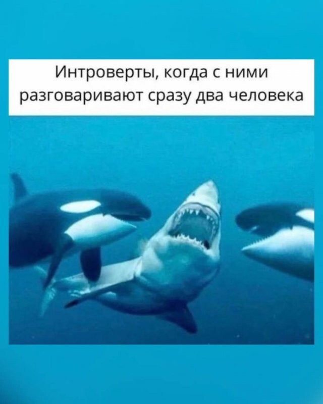 ������� ����� � ��������� ��������