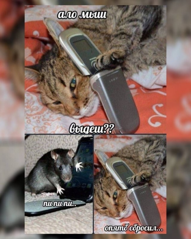 ������� ����� � ��������� ��������