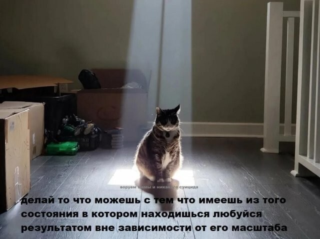 ������� ����� � ��������� ��������