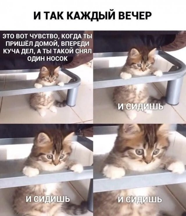 ������� ����� � ��������� ��������