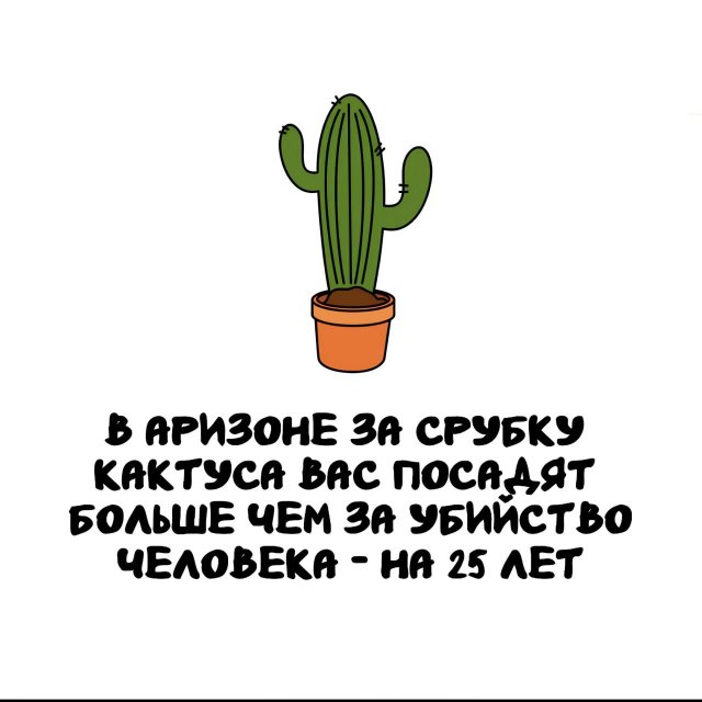 ���������� ����� �� ��� ������ �����