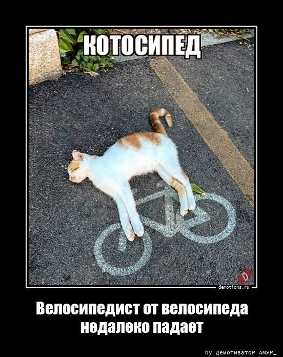 ������������ ��� �������� ����������
