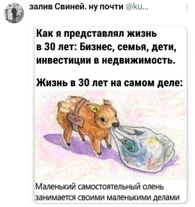 �������� �������� ������ ��� ����