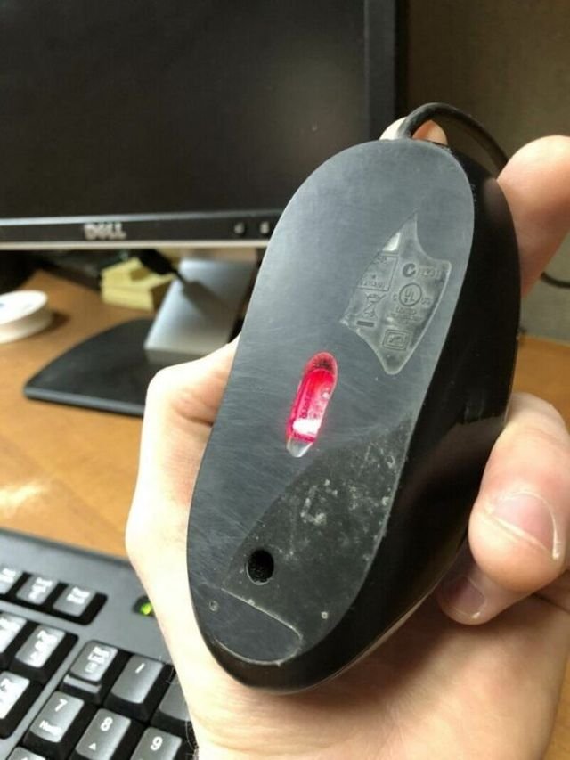 ����� ������ ��